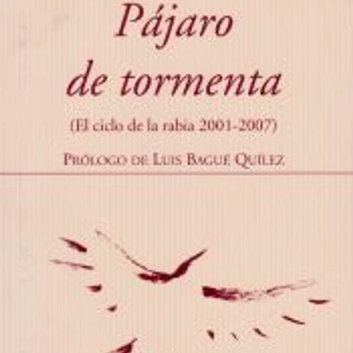 Pájaro de tormenta 1