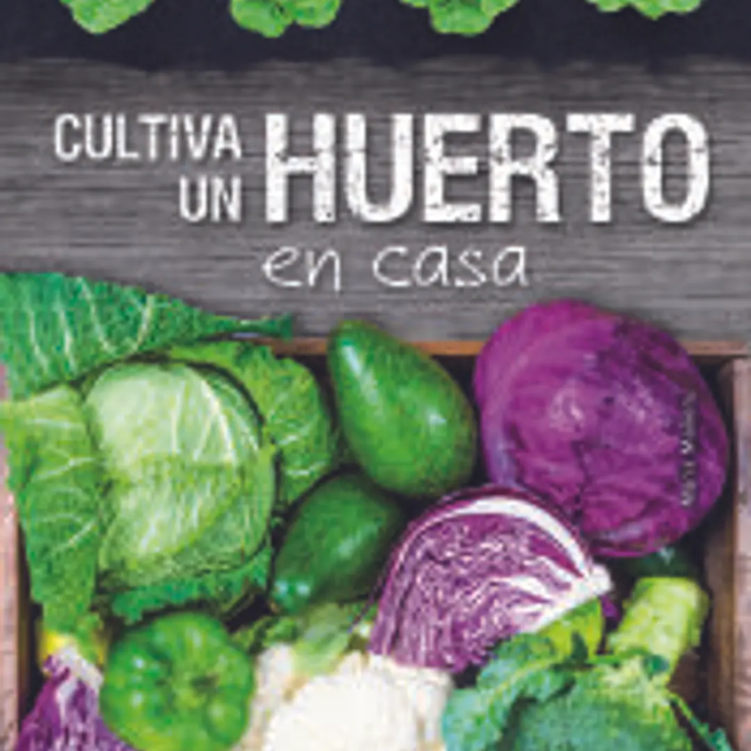 Cultiva un Huerto en Casa 1