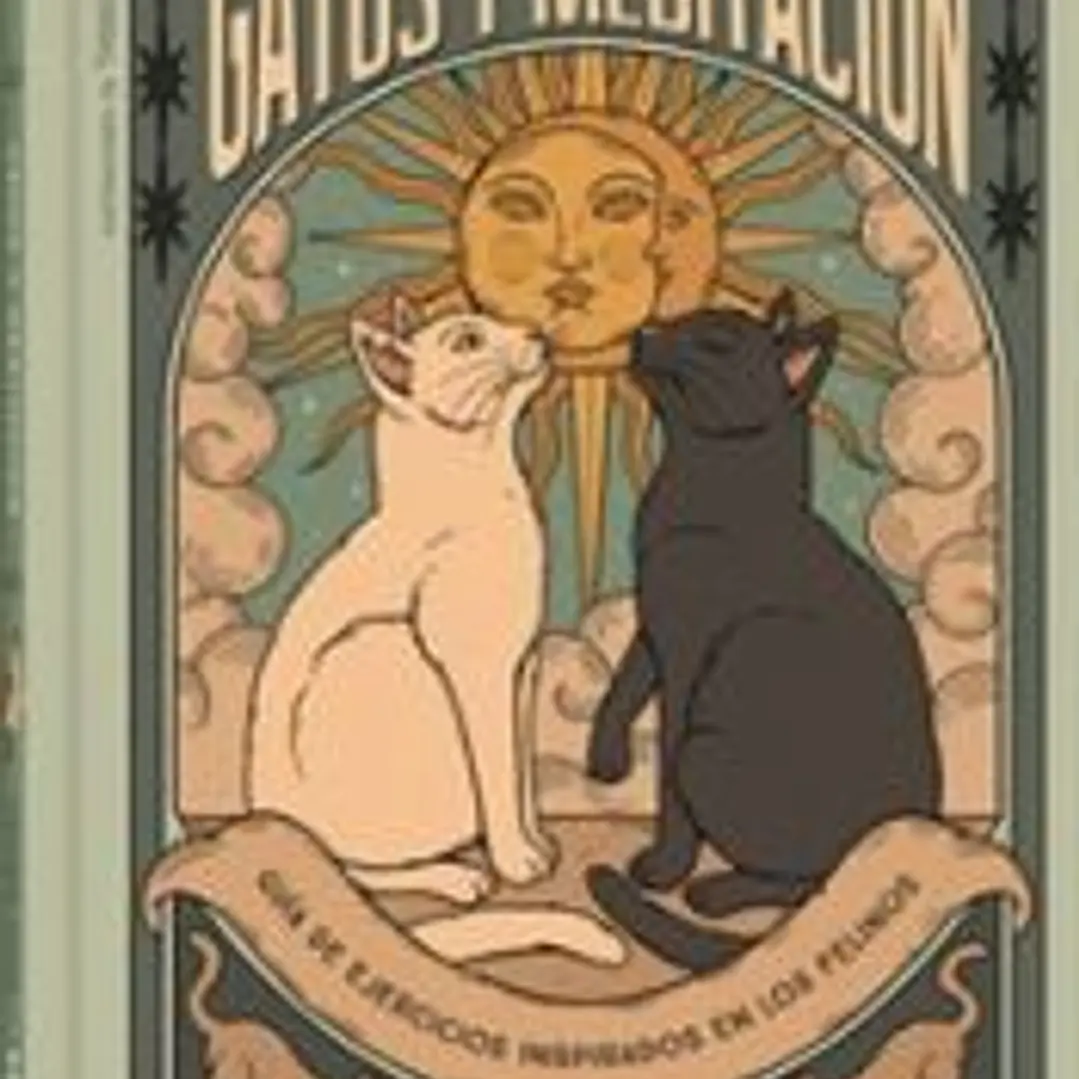 Gatos y meditación 1