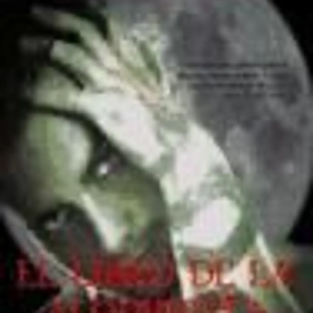 El libro del Alquimista 1