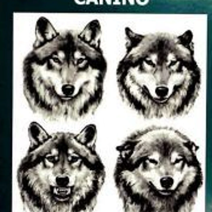 Manual de comportamiento canino 1