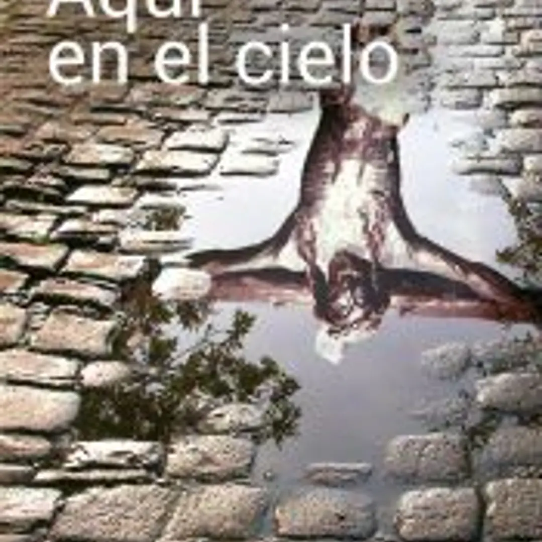 Aquí en el cielo 1