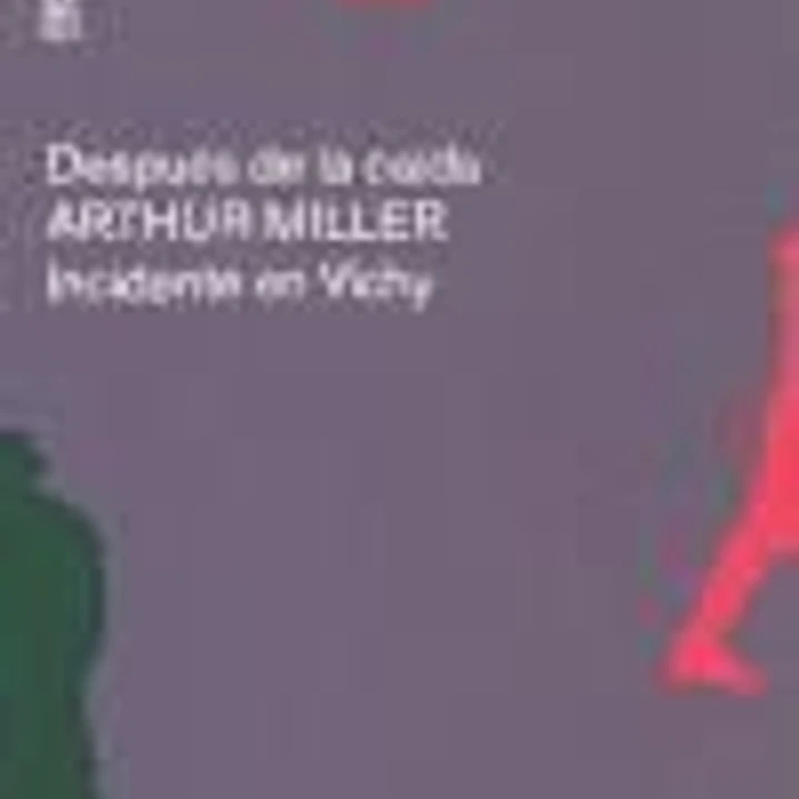 DESPUES DE LA CAIDA INCIDENTE EN VICHY 1