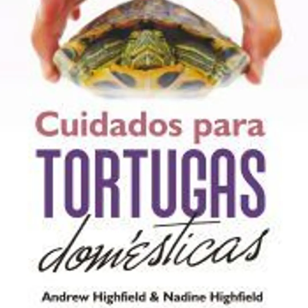 Cuidados para tortugas domésticas 1