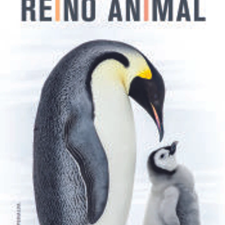 Comportamiento del Reino Animal 1