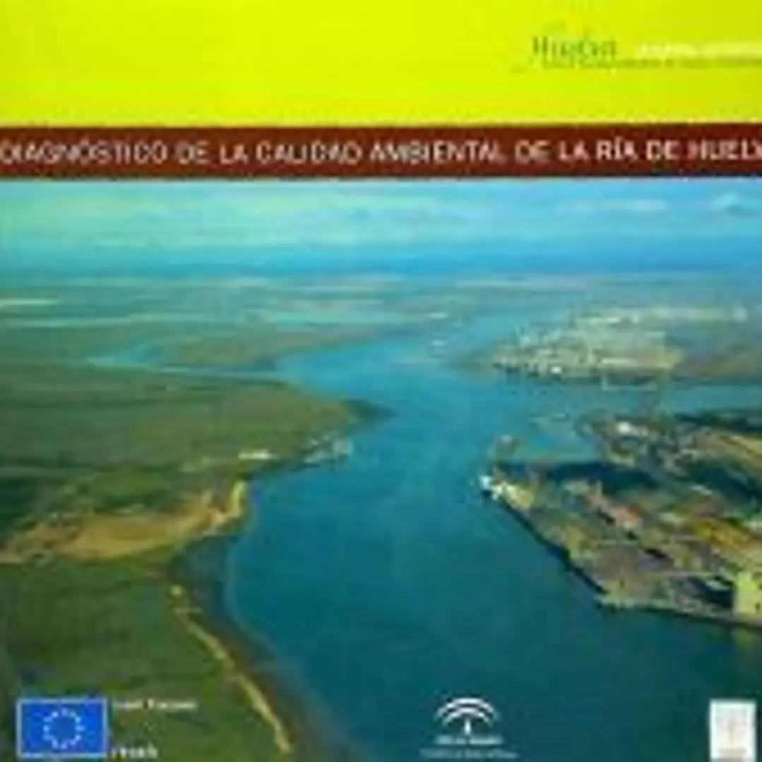 DIAGNOSTICO DE LA CALIDAD AMBIENTAL RIA DE HUELVA 1