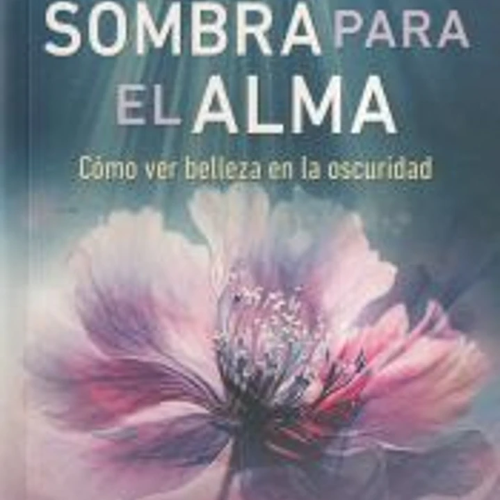 Trabajo de sombra para el alma 1