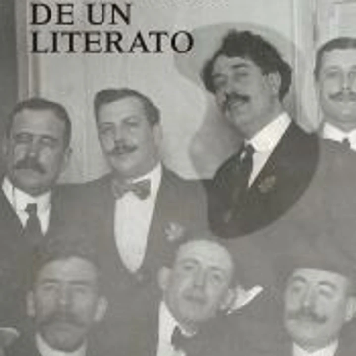 La novela de un literato 1