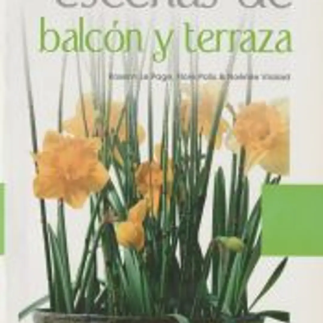 ESCENAS DE BALCÓN Y TERRAZA 1