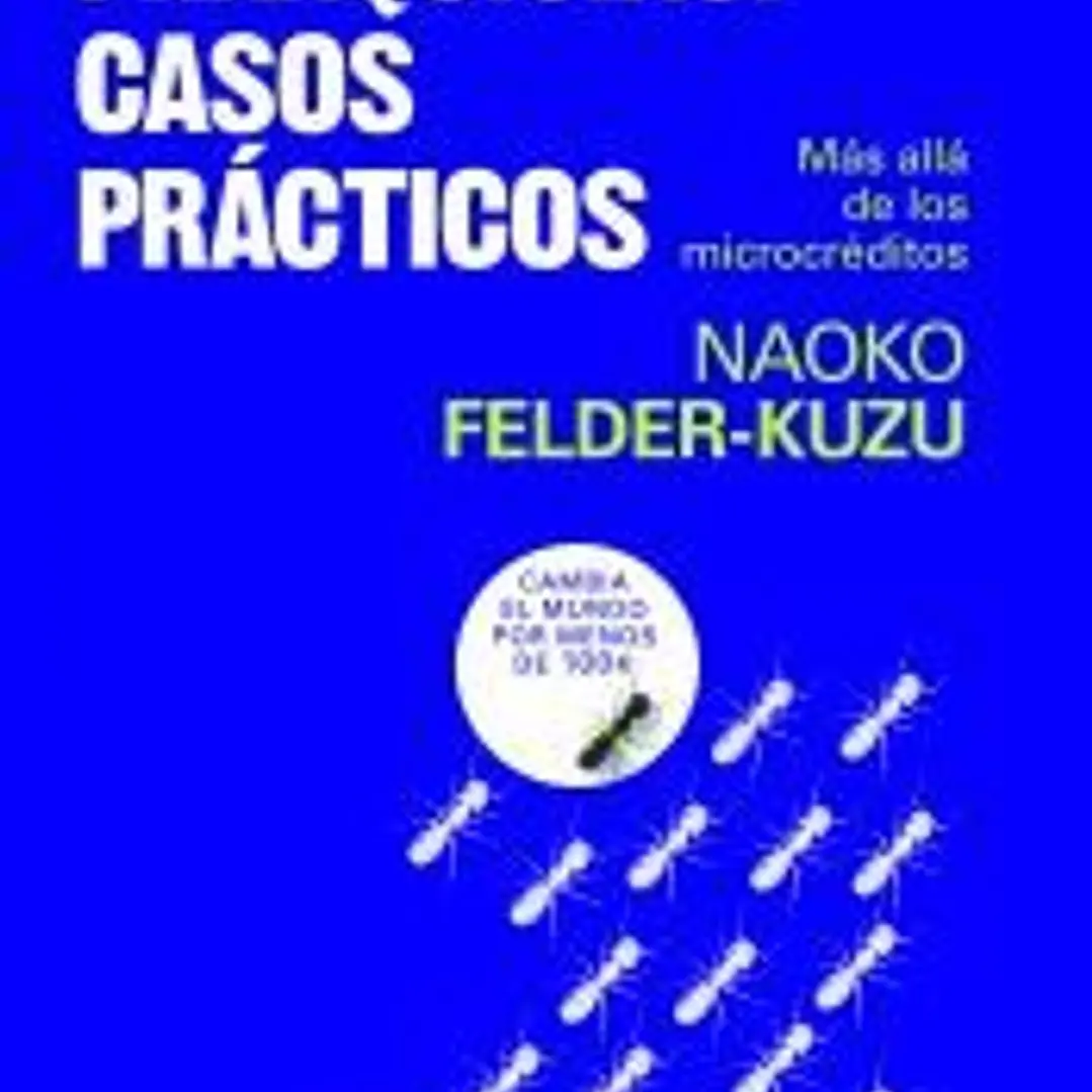 Microfranquicias. Casos prácticos 1