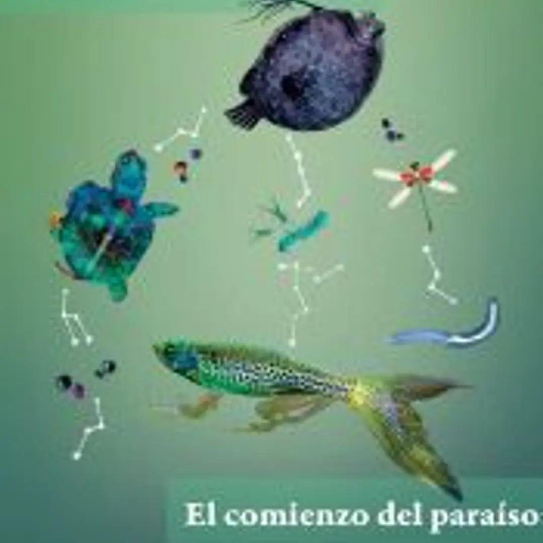 El comienzo del paraíso 1