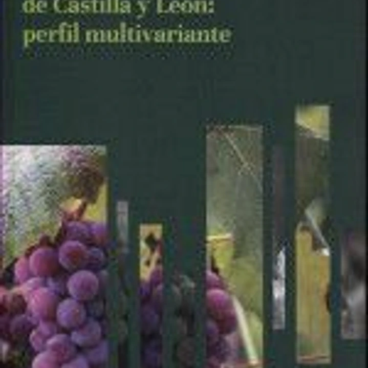 LAS BODEGAS DE CASTILLA Y LEÓN: PERFIL MULTIVARIANTE 1