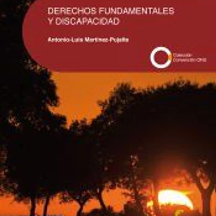 Derechos fundamentales y discapacidad 1