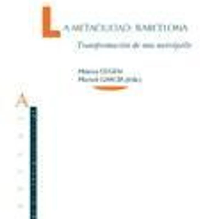 La metaciudad: Barcelona 1