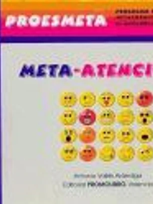 Meta-atención 1