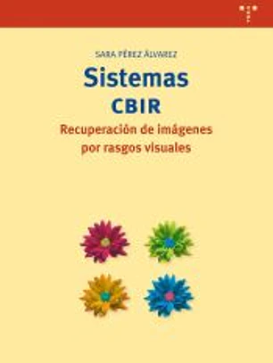 Sistemas CBIR. Recuperación de imágenes por rasgos visuales
