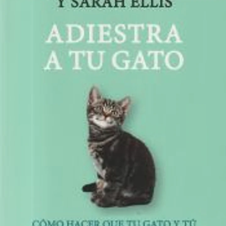 Adiestra a tu gato 1