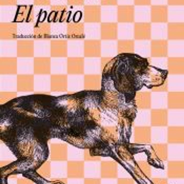 El patio 1