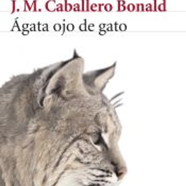 Ágata ojo de gato 1