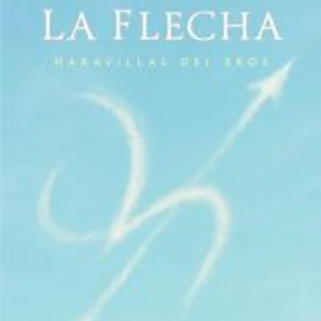 El arco y la flecha 1