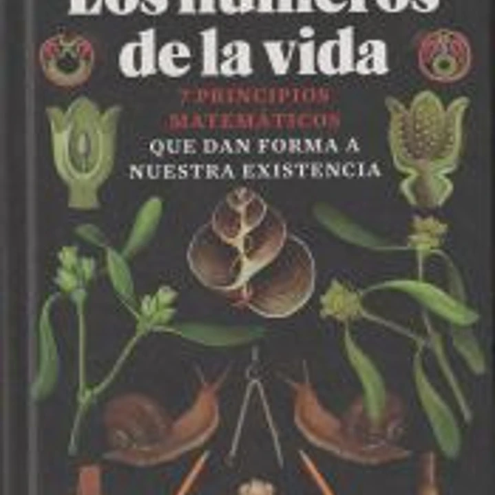 Los números de la vida 1