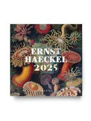 Ernst Haeckel 2025, Calendario de Pared