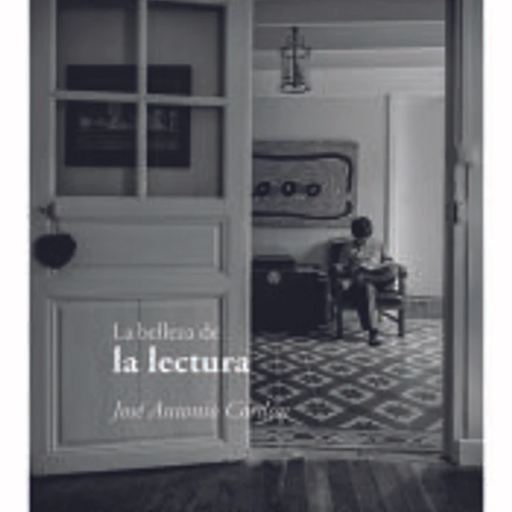 La belleza de la lectura 1