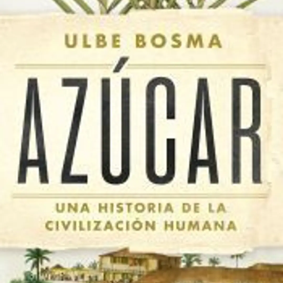 Azúcar 1
