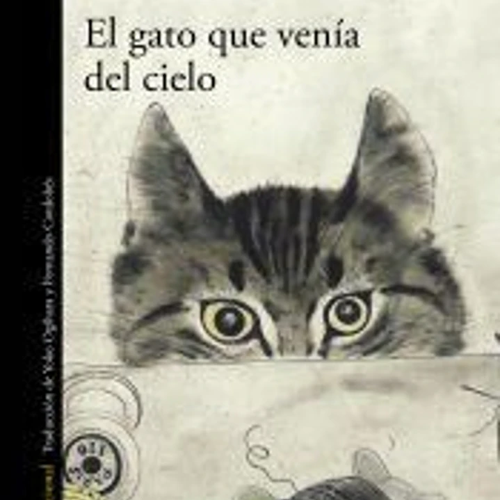 El gato que venía del cielo 1