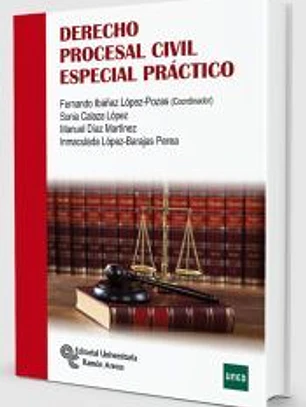 Derecho procesal civil especial práctico
