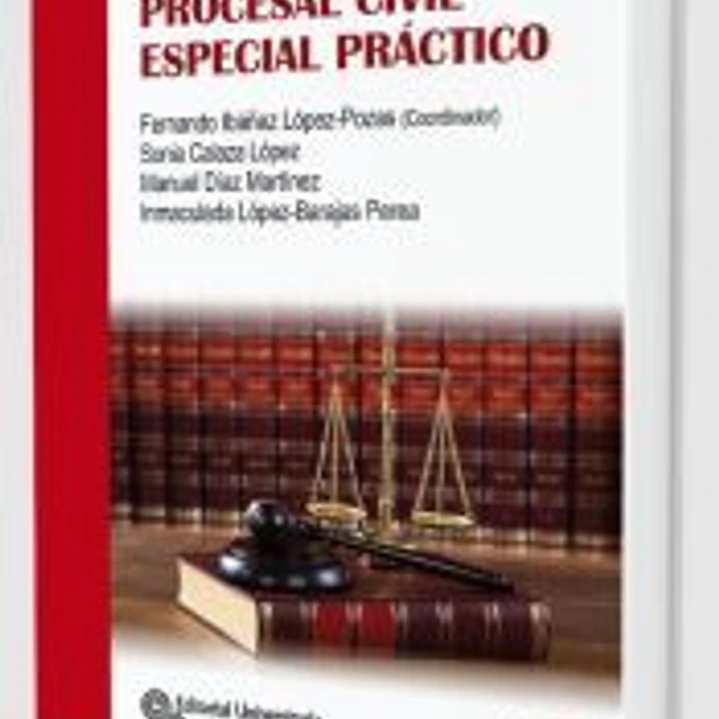 Derecho procesal civil especial práctico 1