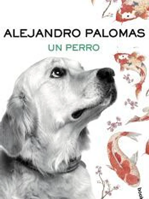 Un perro