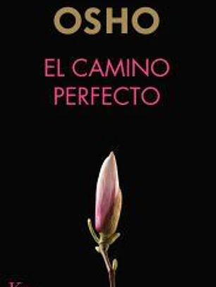 El camino perfecto