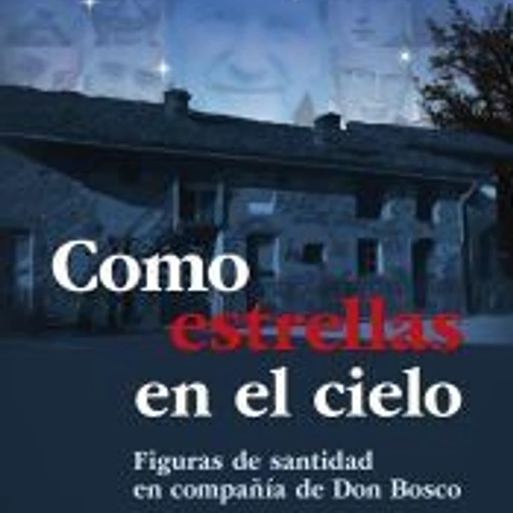 Como estrellas en el cielo 1