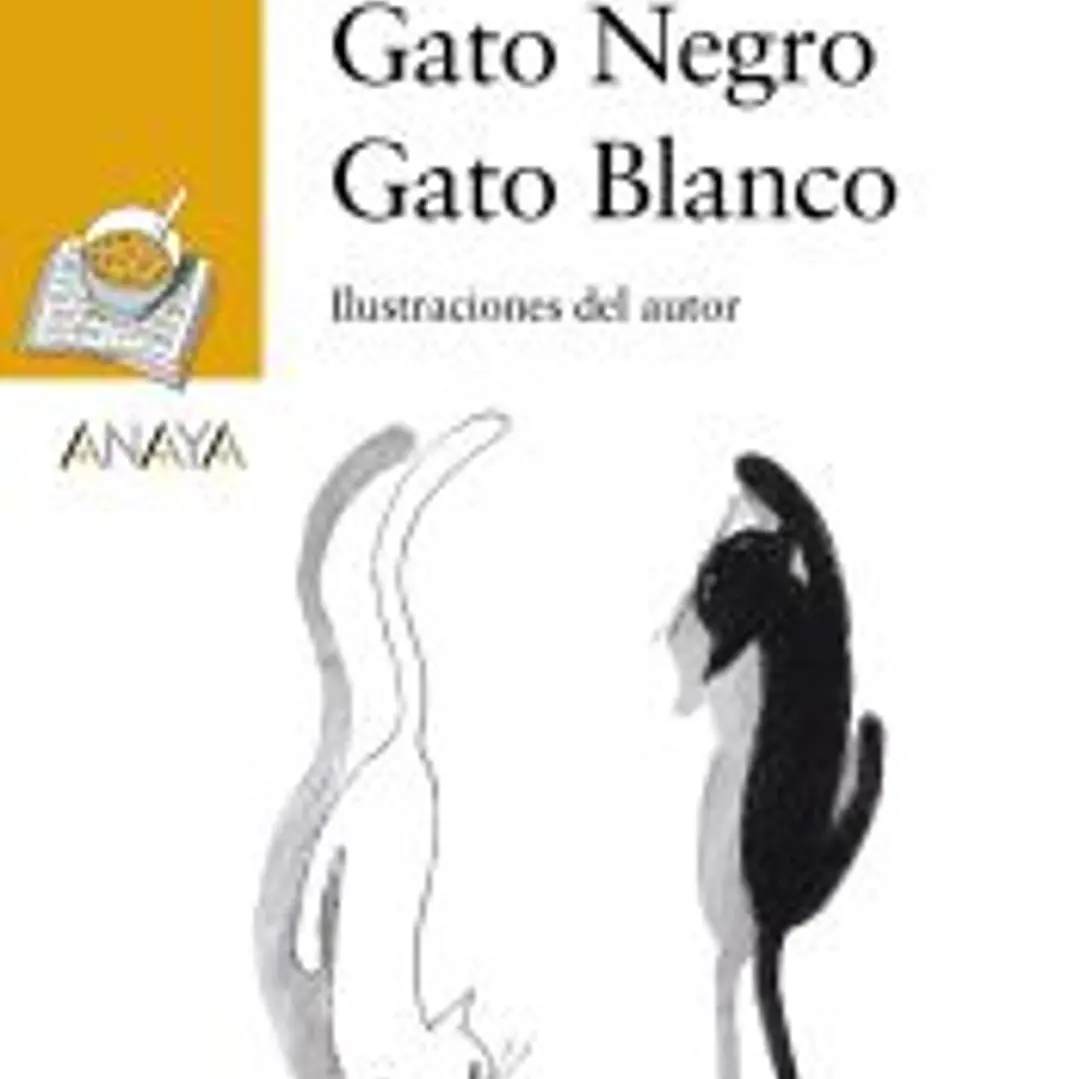 Gato Negro Gato Blanco 1