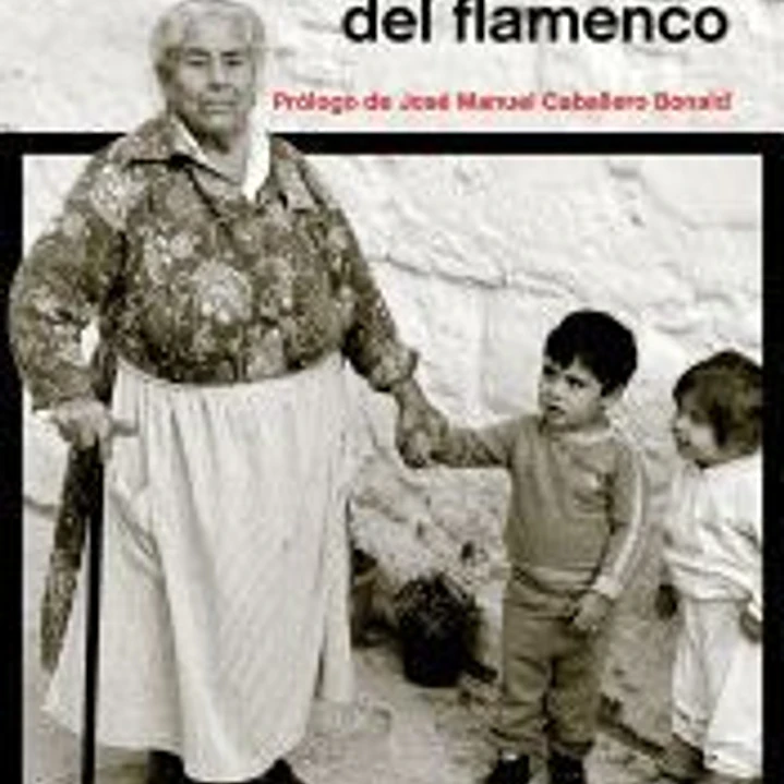 Historia social del flamenco 1