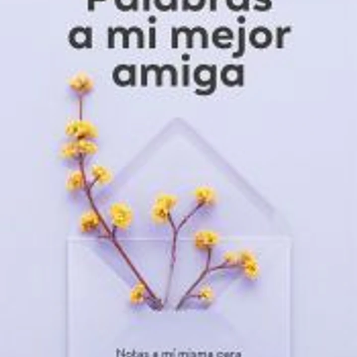 Palabras a mi mejor amiga 1
