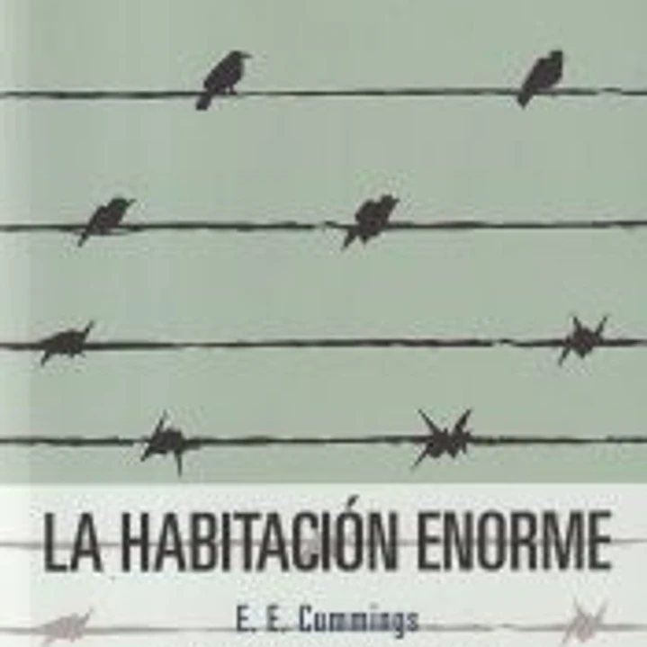 La habitación enorme 1
