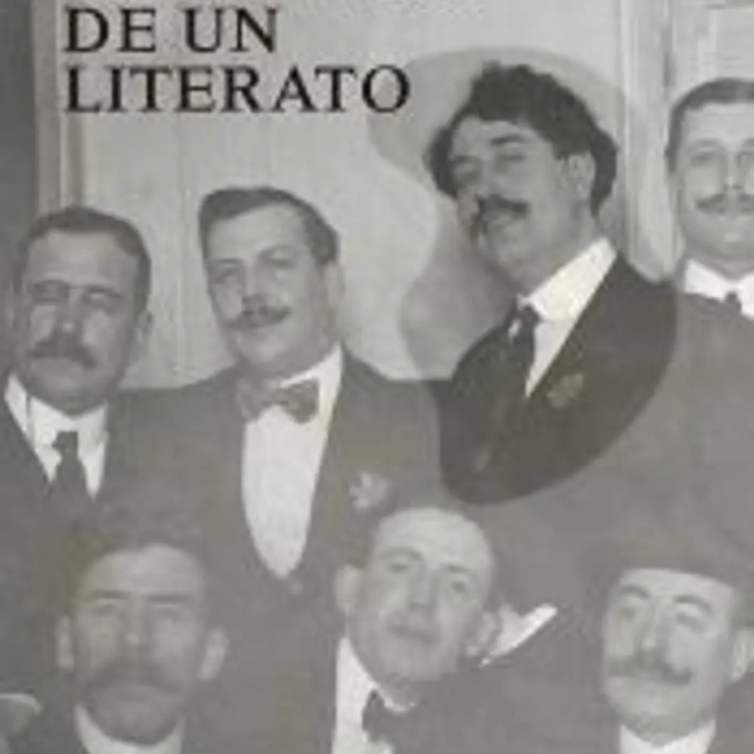 La novela de un literato 1
