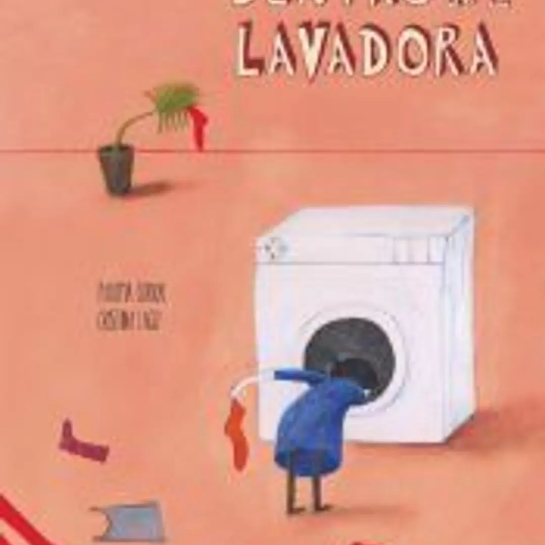 Dentro de la lavadora 1