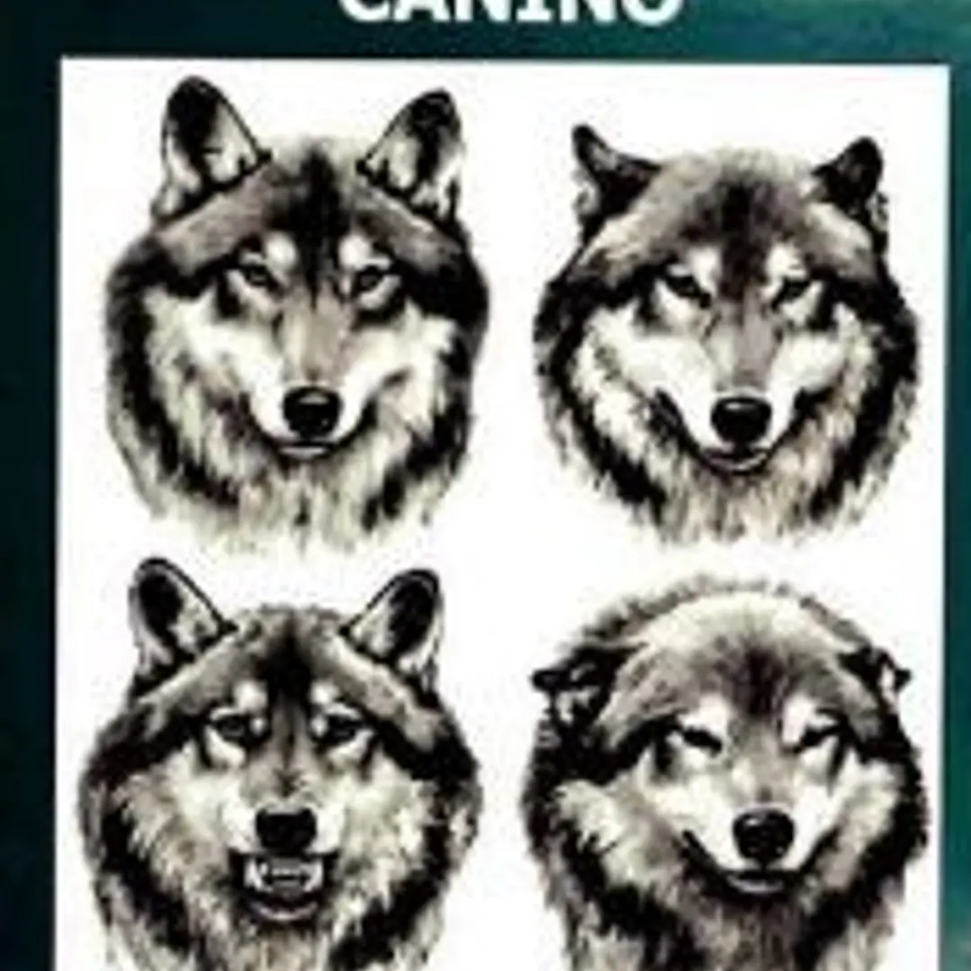 Manual de comportamiento canino 1