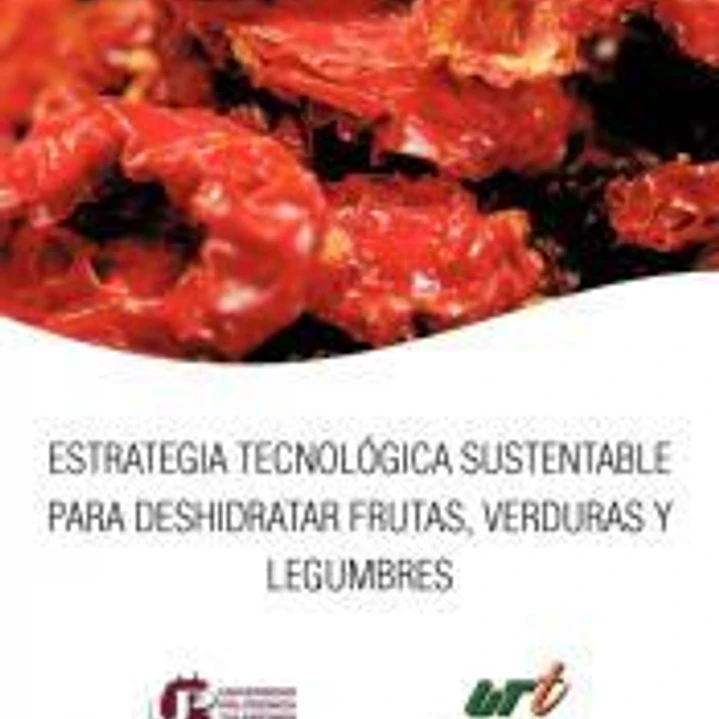 Estrategia Tecnologica Sustentable Para Deshidratar Frutas, Verduras y Legumbres 1