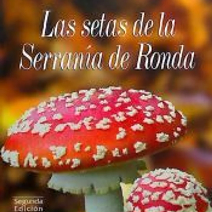 Las setas de la Serranía de Ronda 1