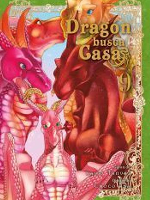 Dragón busca casa