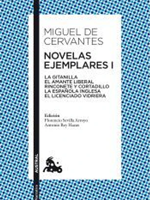 NOVELAS EJEMPLARES I(9788467033625)