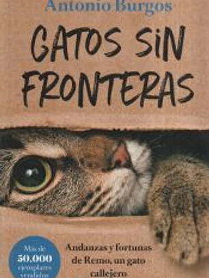 Gatos sin fronteras