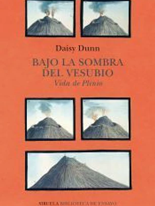 Bajo la sombra del Vesubio