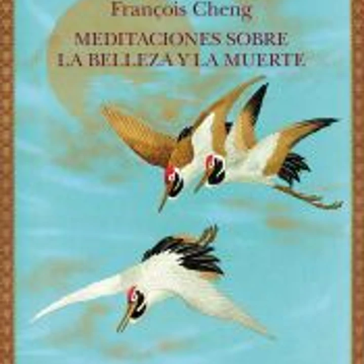 Meditaciones sobre la belleza y la muerte 1