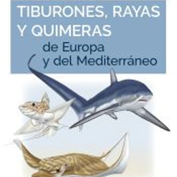 GUIA DE CAMPO DE LOS TIBURONES, RAYAS Y QUIMERAS DE EUROPA Y DEL MEDITERRÁNEO 1