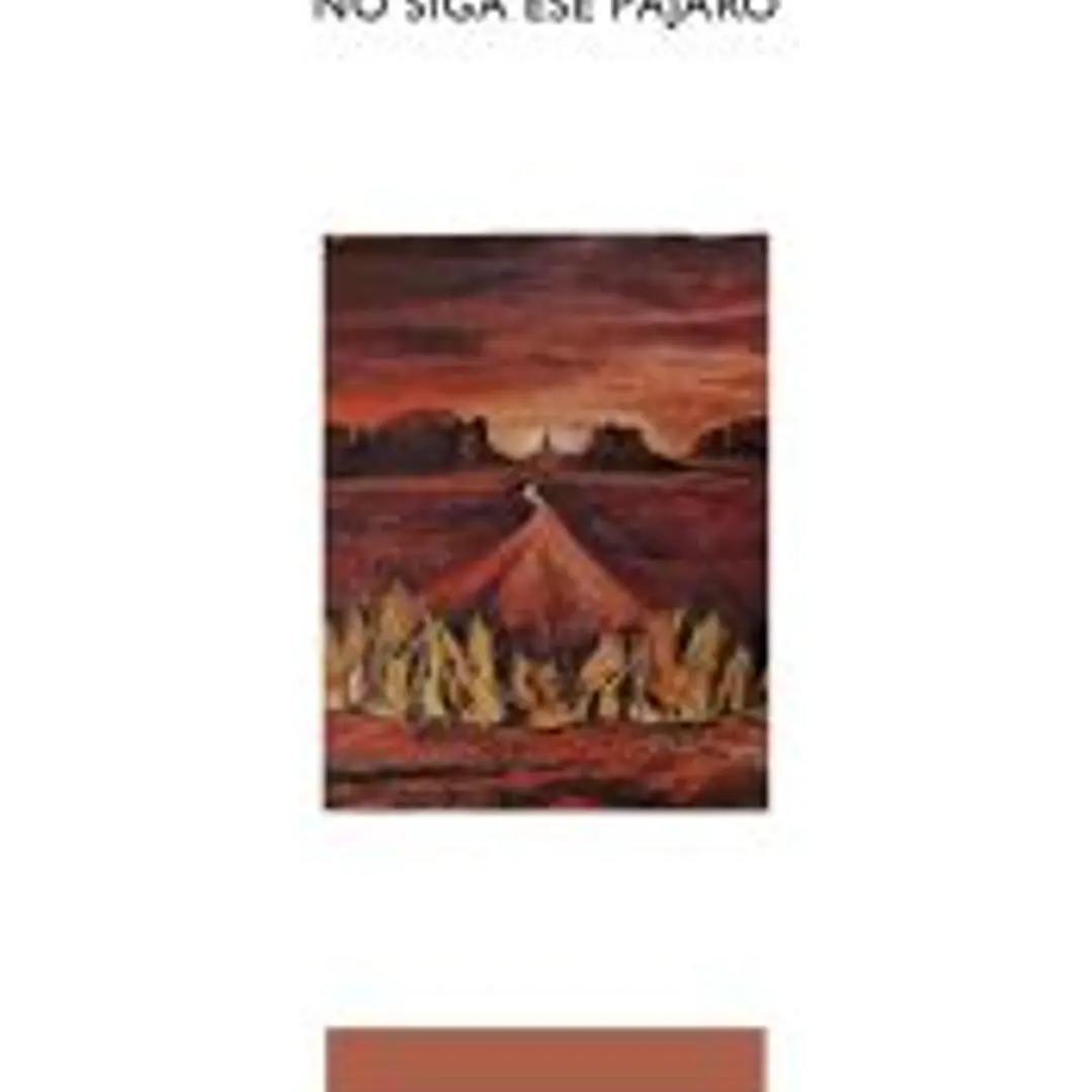 No siga ese pájaro 1